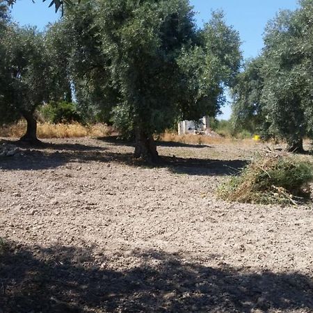 Serra Niedda Resort & Agriturismo 索尔索 外观 照片