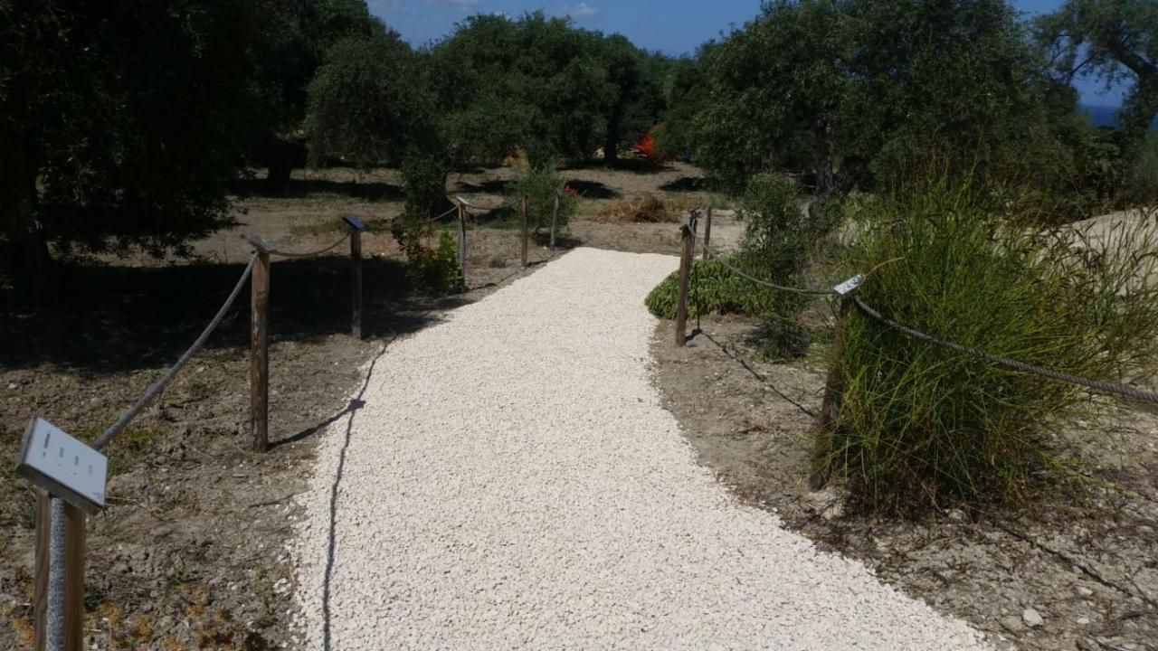 Serra Niedda Resort & Agriturismo 索尔索 外观 照片