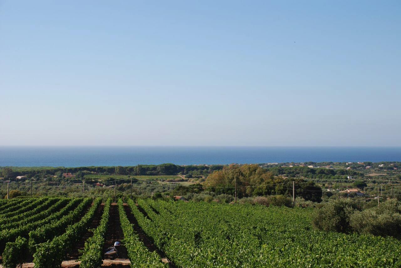 Serra Niedda Resort & Agriturismo 索尔索 外观 照片