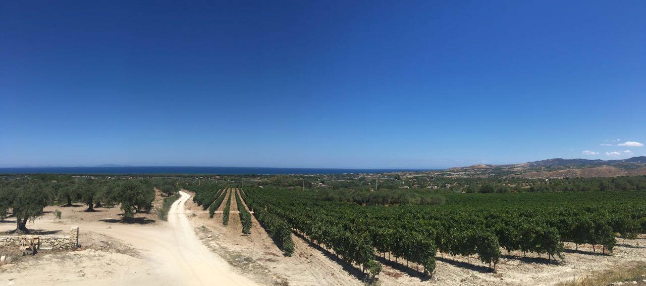 Serra Niedda Resort & Agriturismo 索尔索 外观 照片