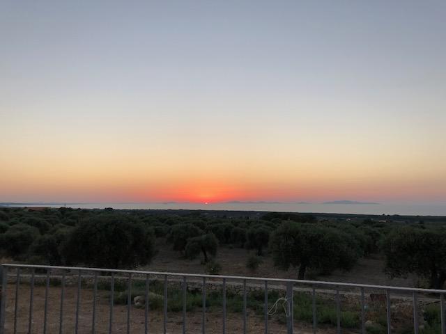 Serra Niedda Resort & Agriturismo 索尔索 外观 照片
