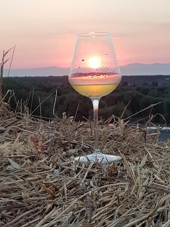 Serra Niedda Resort & Agriturismo 索尔索 外观 照片